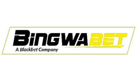 Logo Bingwa Bet