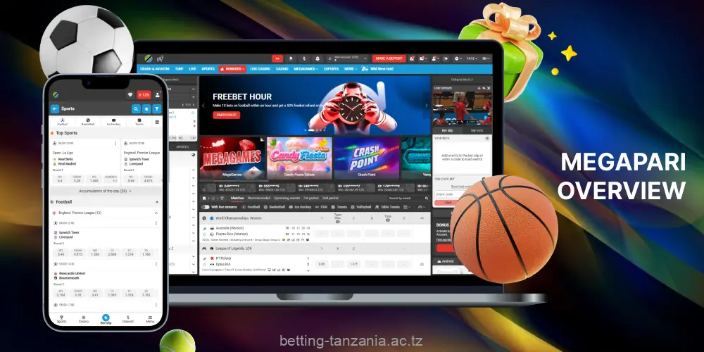 Key information about Megapari in Tanzania